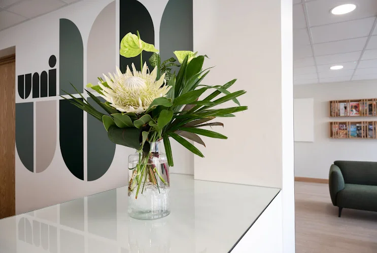 Umi Clinic - Dentist in Petersfield