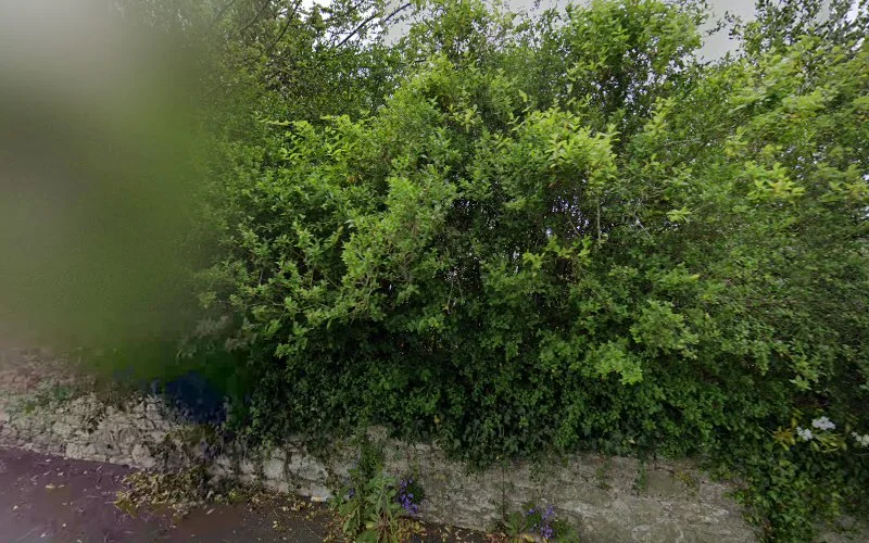 Mullins M - Dentist in Newton Abbot