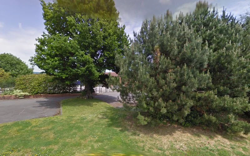 A D P - Dentist in Chard