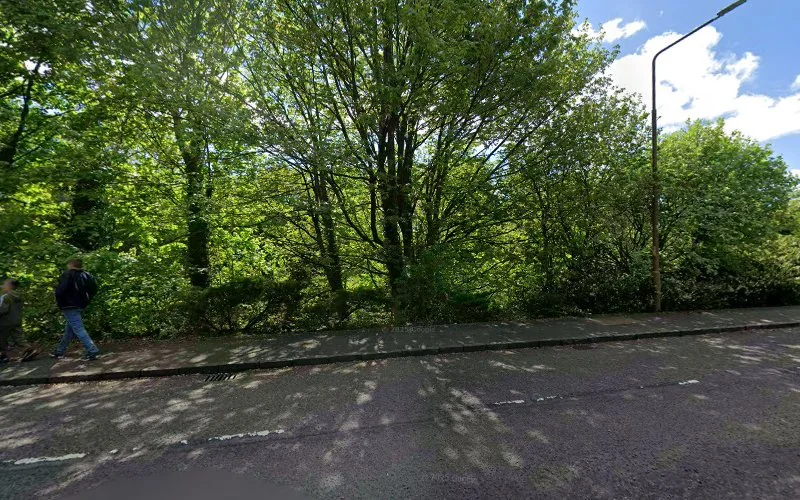 Connerty D - Dental clinic in Livingston