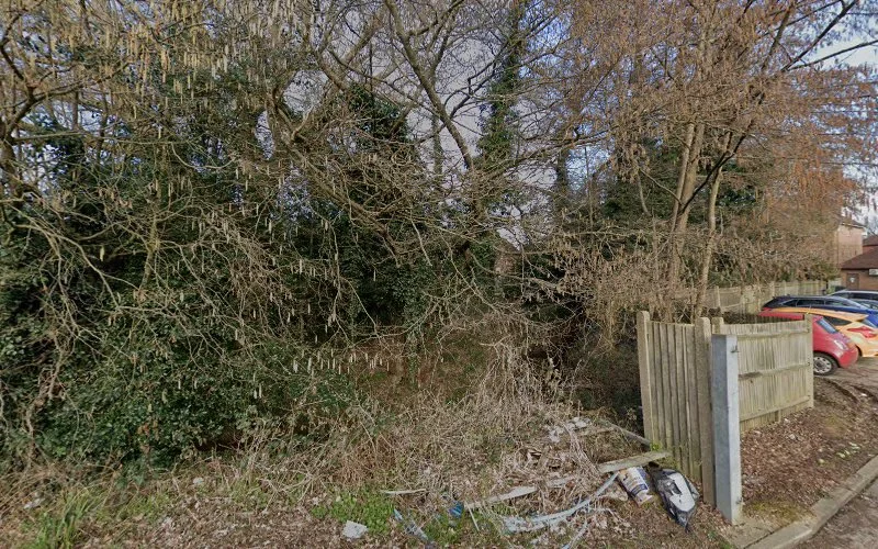 Mr N Mullany - Maidenbower Dental Practice - Dental clinic in Crawley