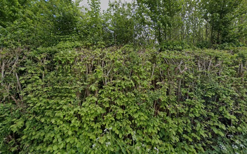 Your Implant Dentist - Dental clinic in Cardiff