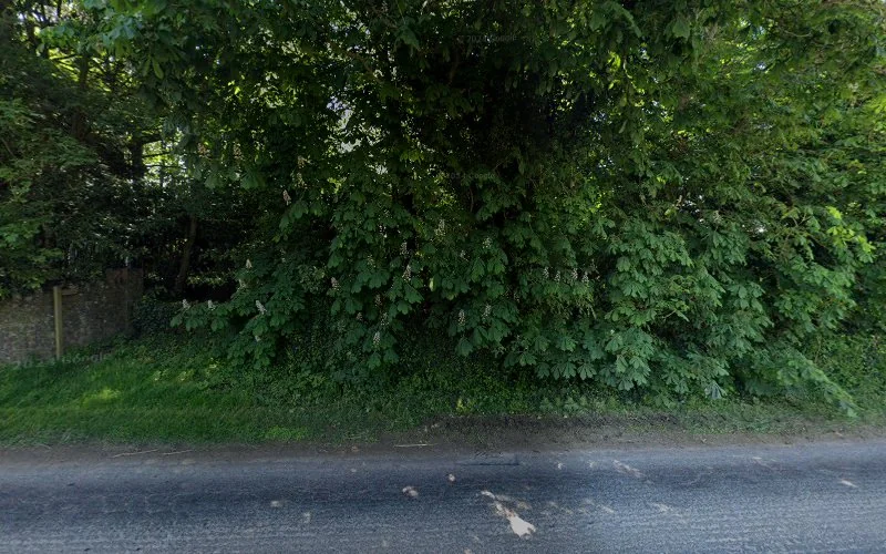 Catherine Drysdale - Dentist in Taunton