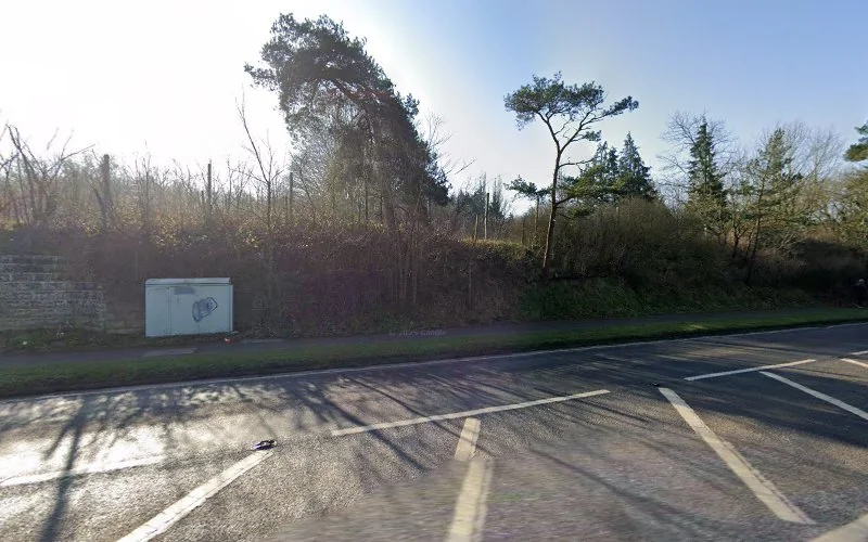 Noon Miss P J - Dental clinic in Dorking