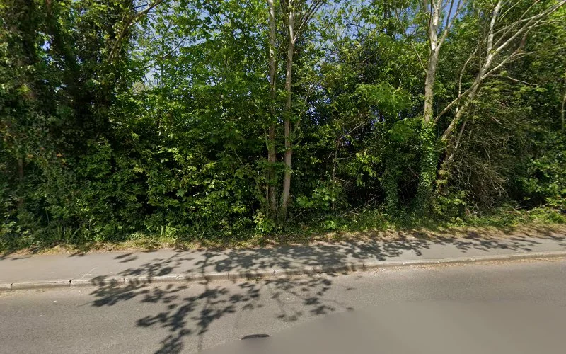 Susan van der Bijl - Dentist in Farnham