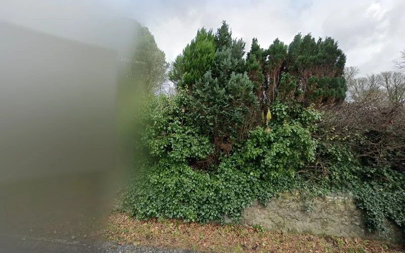 A W Ceramics Anglesey Denture Repair - Dental laboratory in Ty Croes