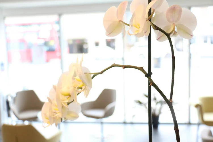 Angle House Specialist Dentistry (Whetstone) - Dentist in London