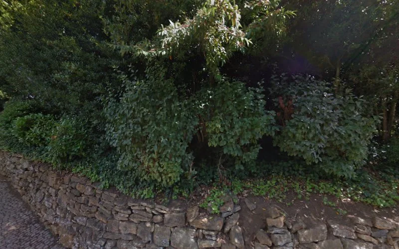 Priory Cottage Dental Clinic - Dental clinic in Northampton