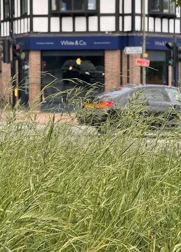 White & Co. Dentist in West Wickham - Dental clinic in West Wickham