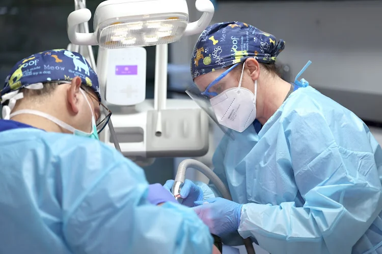 Confident Smile Dental Practice | shepperton - Dentist in Shepperton