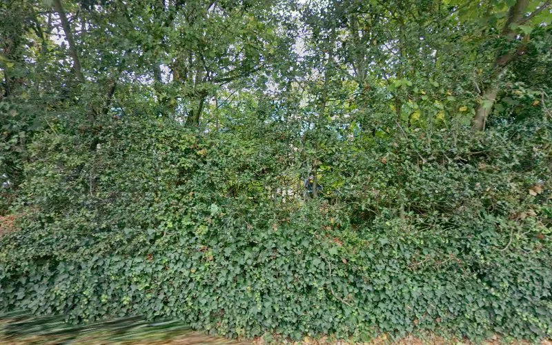 Mega'gen Implants - Dentist in Hemel Hempstead