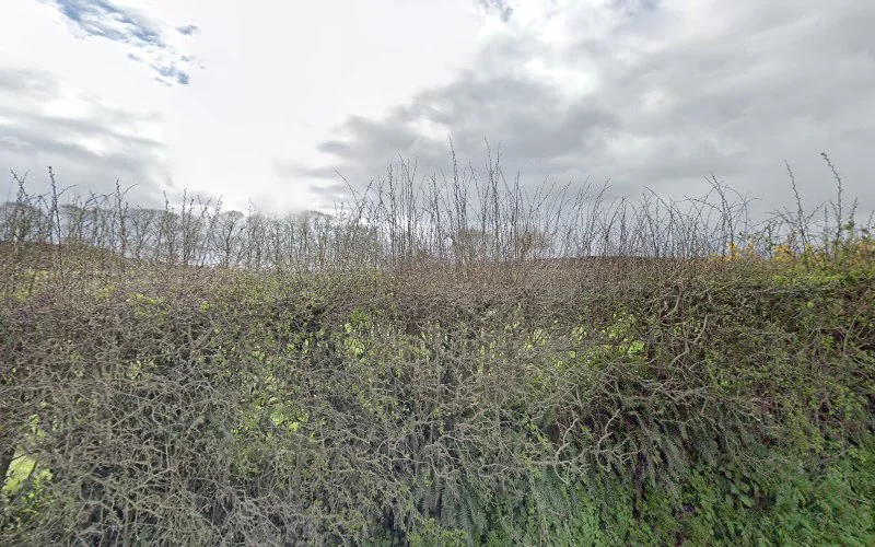 Community Dental Services - Dentist in Downpatrick