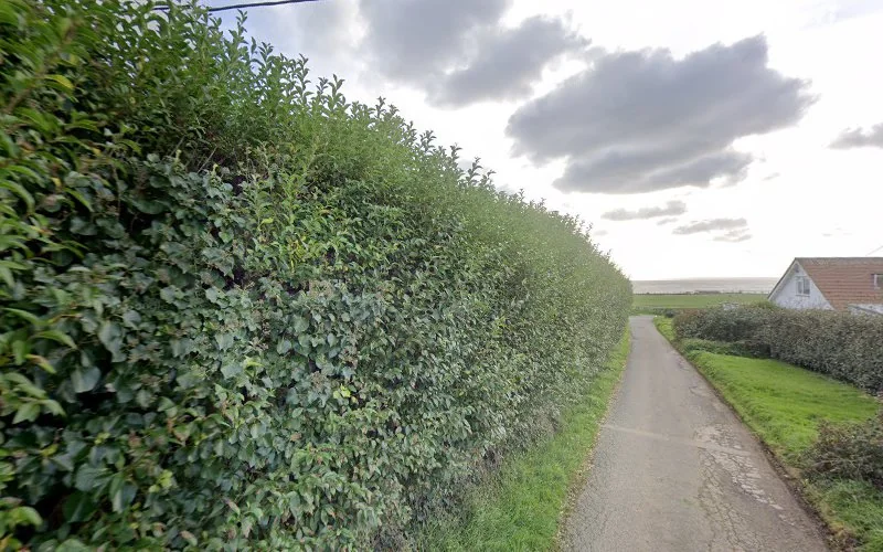 D S 4 U Ltd - Dental Supply Shop in Penzance