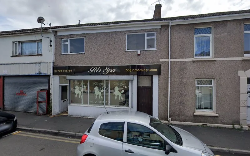 The Parc Dental - Dental clinic in Llanelli