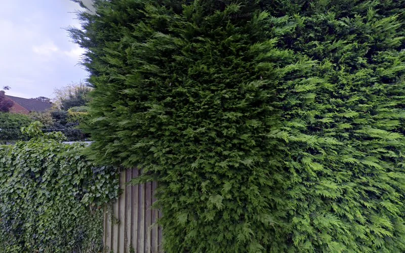 R Tilly - Mulbarton Dental Practice - Dental clinic in Norwich