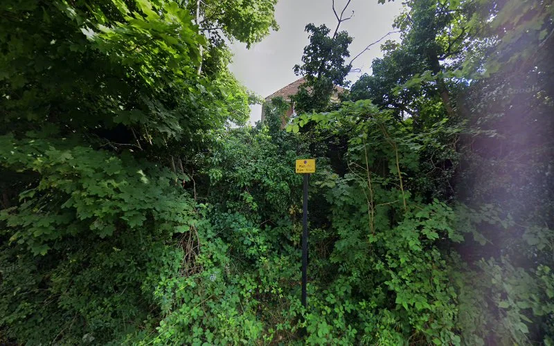 V Williams - Bhandal Dental Surgery - Dental clinic in Birmingham