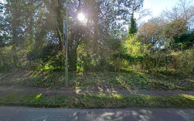 Dental Implants .London - Dentist in Bromley