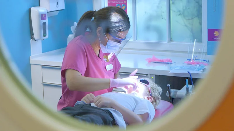 Toothbeary - Children's Dentist - Paediatric Dentist in Twickenham