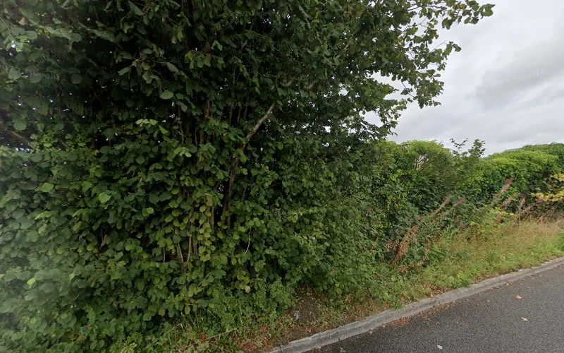 Dacey's - Orthodontist in Merthyr Tydfil