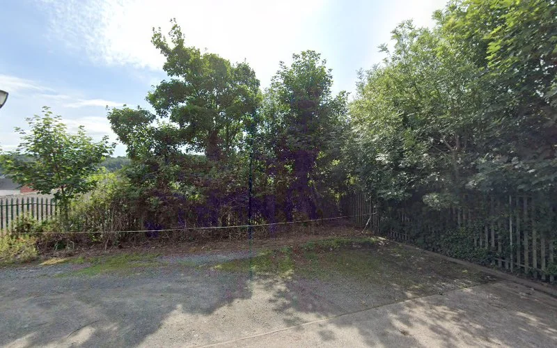 Dr S Thyregowda - Dentist in Bangor