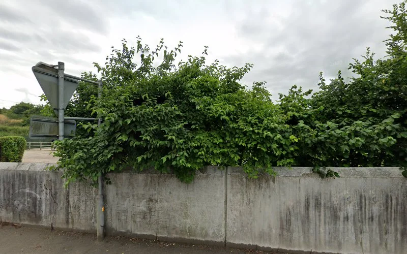 The Tooth Shop - Dental clinic in Stansted