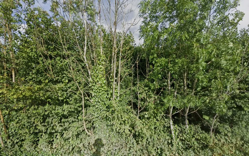 Kington Dental Practice (Private) - Dentist in Kington