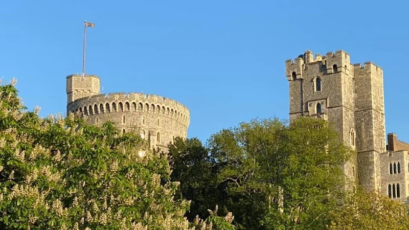 CastleView Dental - Dentist in Windsor