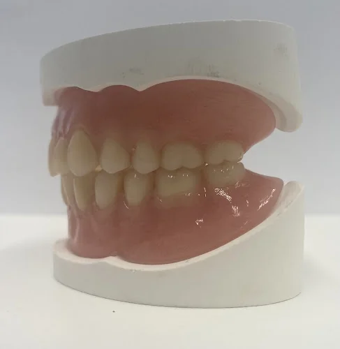 denturekraft - Dental laboratory in Rhayader