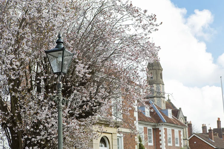 THE Dentist Salisbury - Dentist in Salisbury