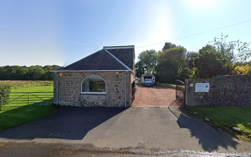 LEAD HER - Dentist in Kilmarnock