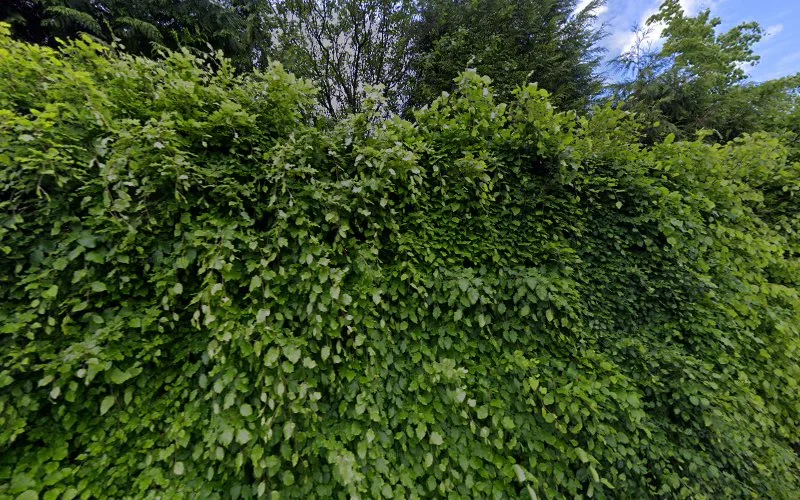 Mr A Singleton - Corve Street Family Dental Practice - Dental clinic in Ludlow