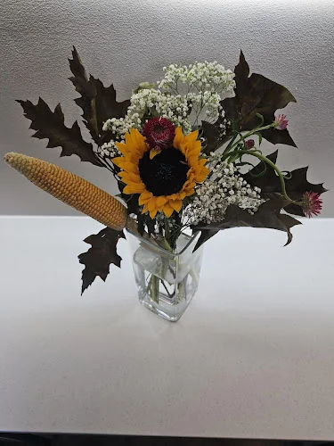 Ivy House Dental Practice Camden - Dentist in London