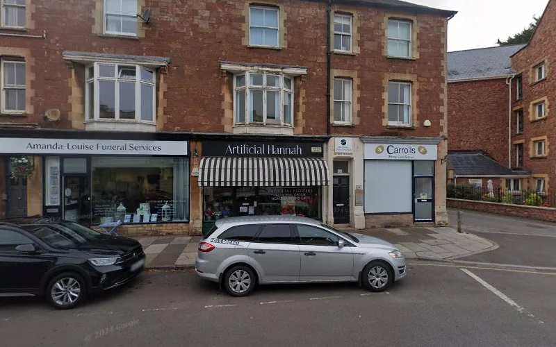 Louw Dr Andre - Dental clinic in Minehead