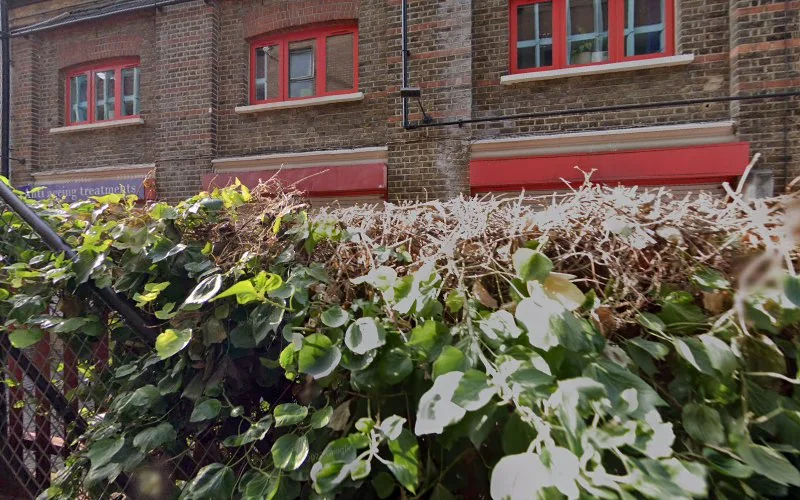 Polski Dentysta London - Dentist in London