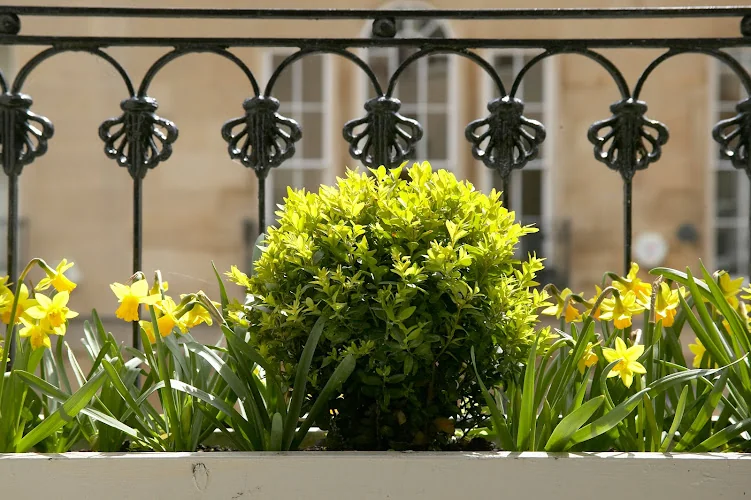 Bath Dental Excellence Dental & Implant Clinic - Dentist in Bath