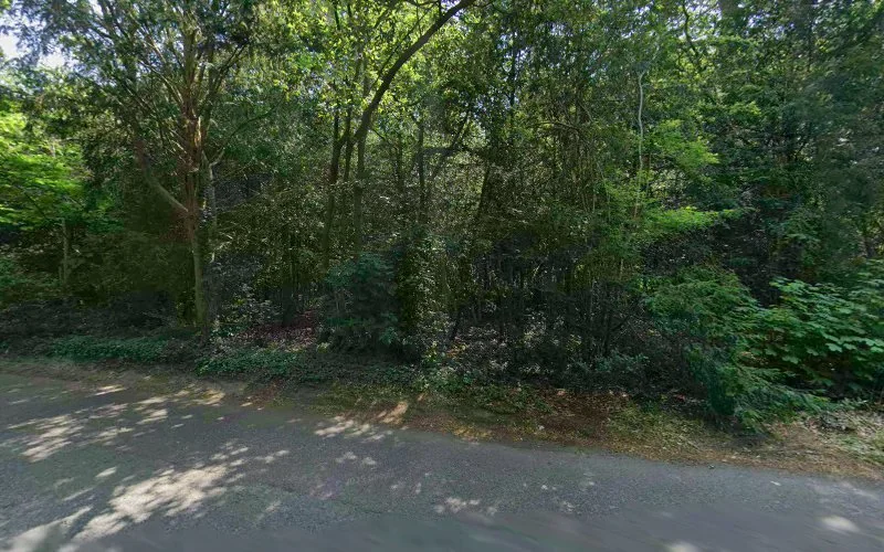 Hopkins A - Dental clinic in Chislehurst