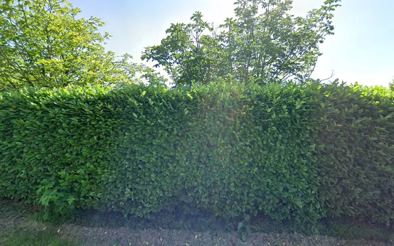 Keyser J - Dental clinic in Aylesbury