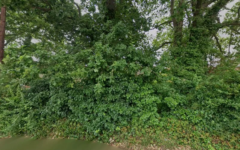 Vaziri - Dental clinic in Southampton