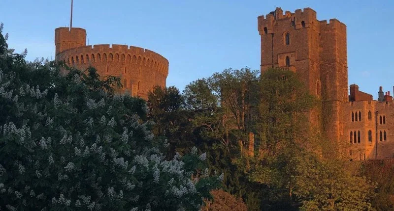 Windsor Orthodontics - Dentist in Windsor