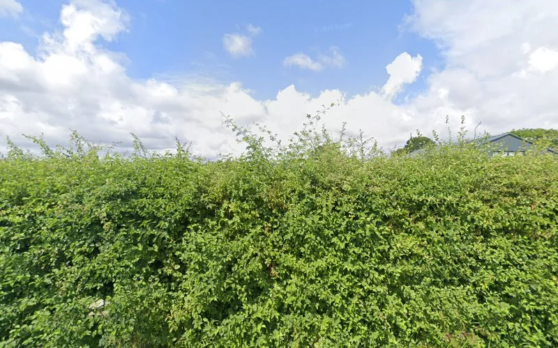 Azura Dental Laboratory Ltd - Dental laboratory in Bury Saint Edmunds