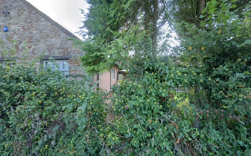 Harptree Dental - Dental clinic in Bristol