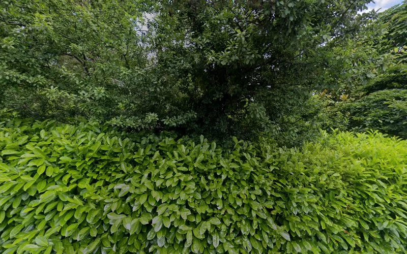 Giddy Dr J M - Dental clinic in Totnes