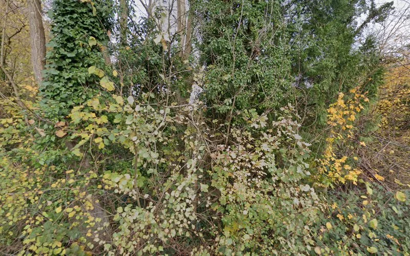 The Old Forge House Dental Surgery Mrs S Moss - Dental clinic in Maidstone