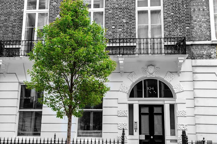 Norton Implants - Dental Implants Specialist - Dentist in London