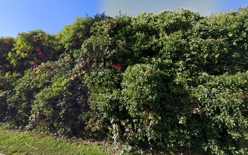 The Croft Dental Practice - Dental clinic in Aberdare