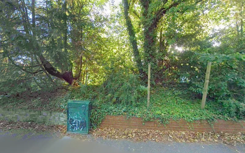 Maizar Amal - Orthodontist in Wokingham