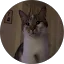 KatduGers