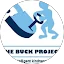 Buck Project