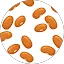 Beans.