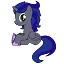Nightfall Alicorn